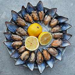 Midye Dolma