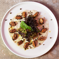 Kabuk Tonnato